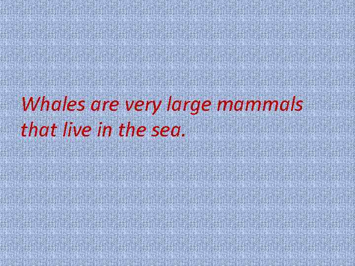 Whales are very large mammals that live in the sea. 