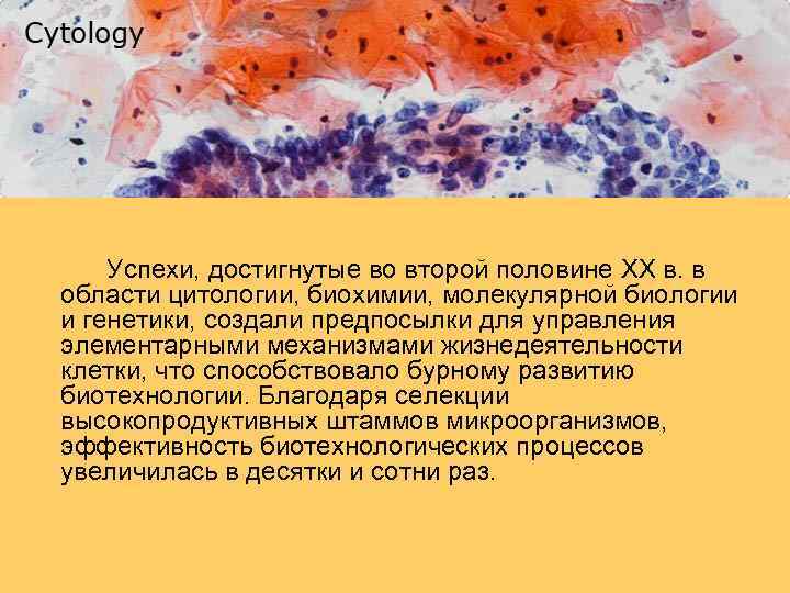 Успехи, достигнутые во второй половине XX в. в области цитологии, биохимии, молекулярной биологии и