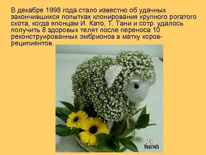 В декабре 1998 года стало известно об удачных закончившихся попытках клонирования крупного рогатого скота,