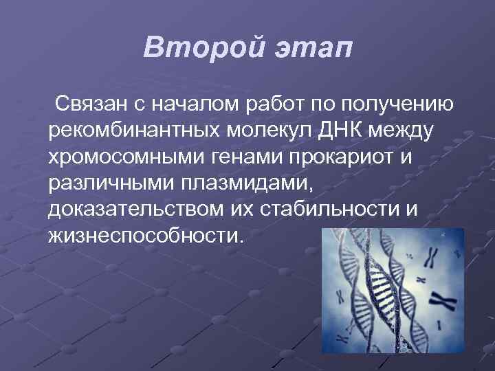 Второй этап Связан с началом работ по получению рекомбинантных молекул ДНК между хромосомными генами