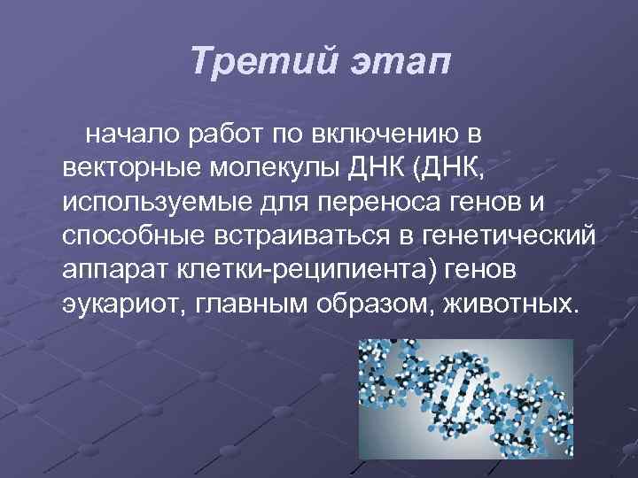 Третий этап начало работ по включению в векторные молекулы ДНК (ДНК, используемые для переноса