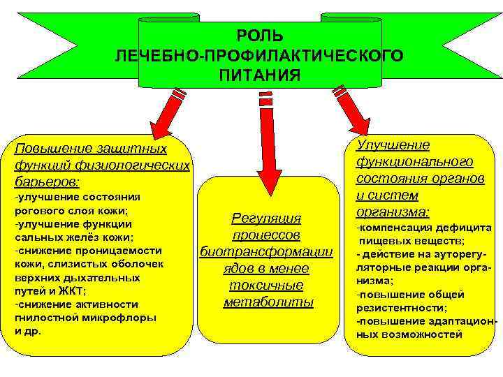 РОЛЬ ЛЕЧЕБНО-ПРОФИЛАКТИЧЕСКОГО ПИТАНИЯ Повышение защитных функций физиологических барьеров: -улучшение состояния рогового слоя кожи; -улучшение