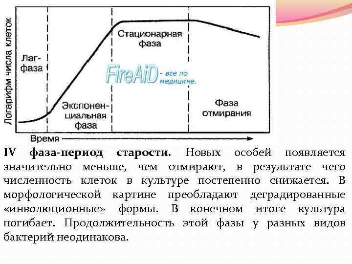 IV фаза-период старости. Новых особей появляется значительно меньше, чем отмирают, в результате чего численность