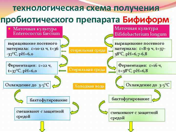 Технологическая схема производства пробиотиков