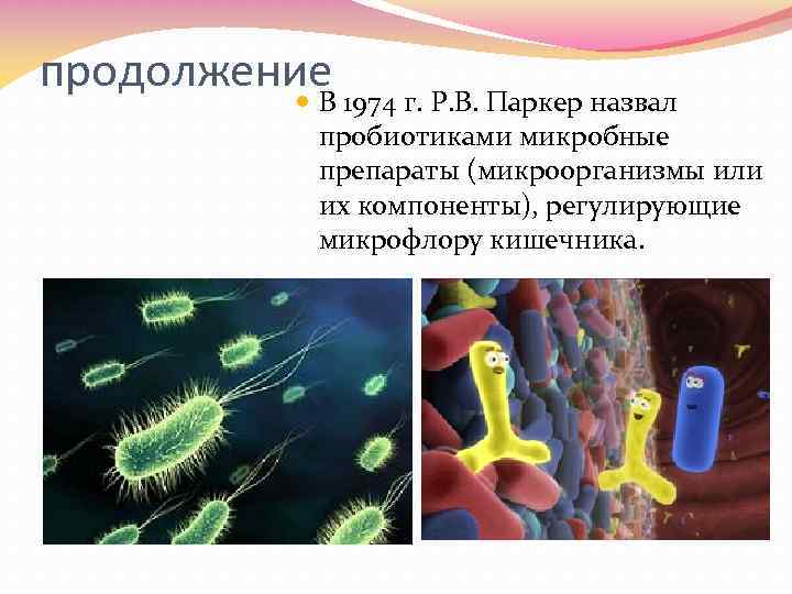 продолжение В 1974 г. Р. В. Паркер назвал пробиотиками микробные препараты (микроорганизмы или их