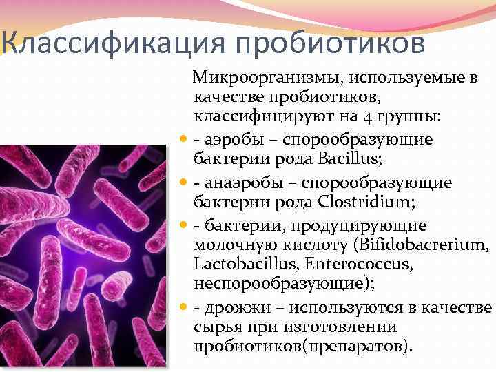 Классификация пробиотиков Микроорганизмы, используемые в качестве пробиотиков, классифицируют на 4 группы: - аэробы –