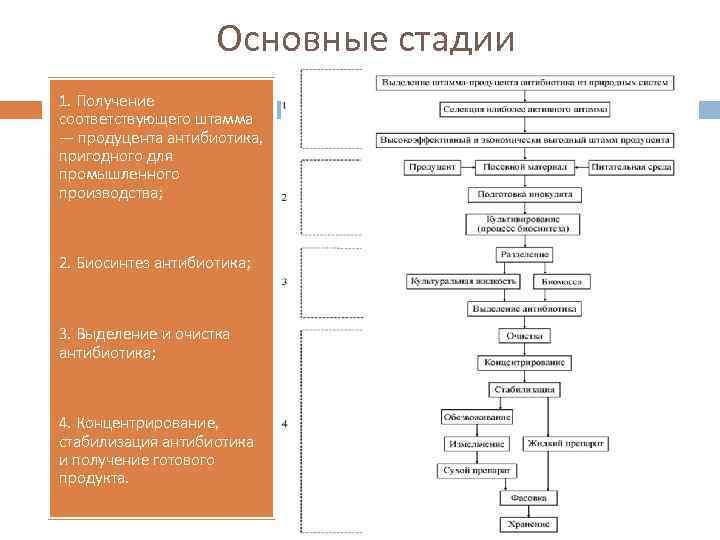 Технологическая схема антибиотиков