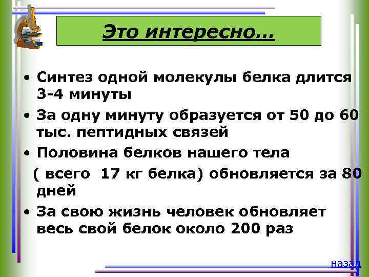 Это интересно… • Синтез одной молекулы белка длится 3 -4 минуты • За одну