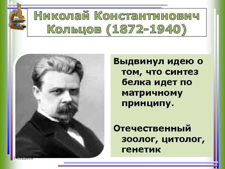 Николай Константинович Кольцов (1872 -1940) Выдвинул идею о том, что синтез белка идет по