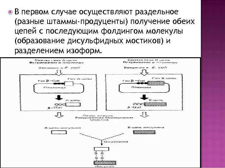 Современная технология получения рекомбинантного инсулина презентация