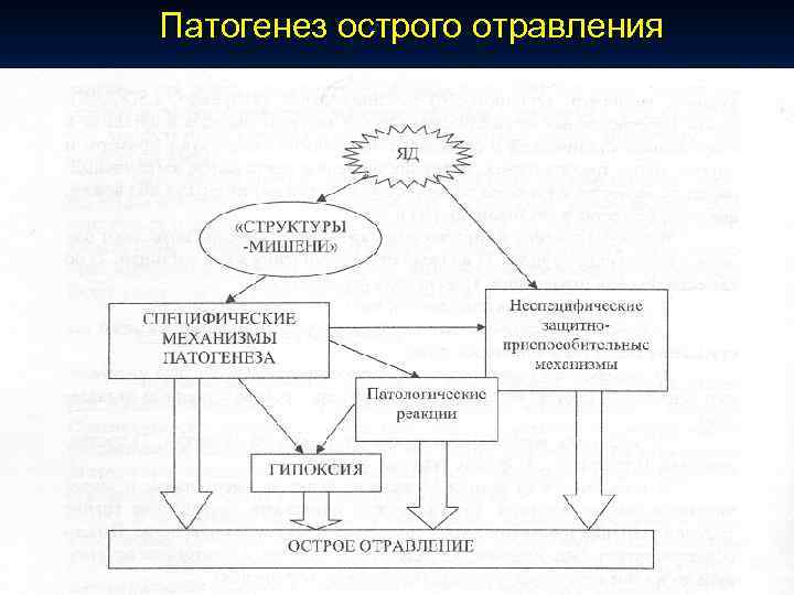 Патогенез острого отравления 