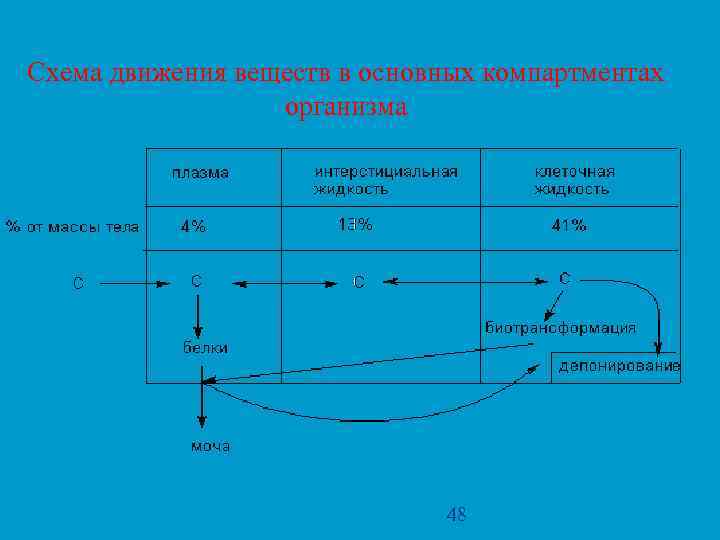 Схема движения веществ в основных компартментах организма 48 