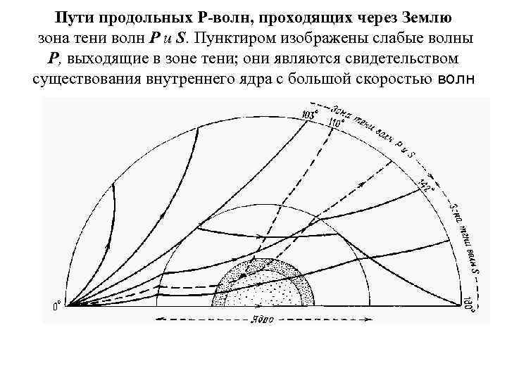 Пути продольных Р-волн, проходящих через Землю зона тени волн Р и S. Пунктиром изображены