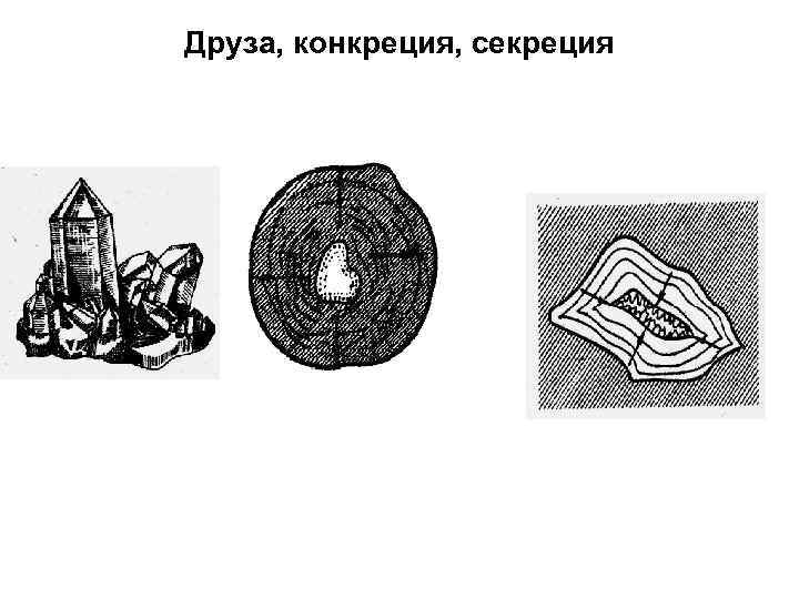 Друза, конкреция, секреция 