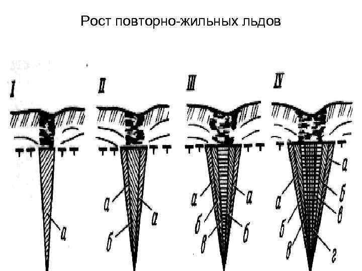 Рост повторно-жильных льдов 