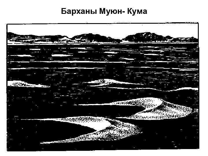 Барханы Муюн- Кума 