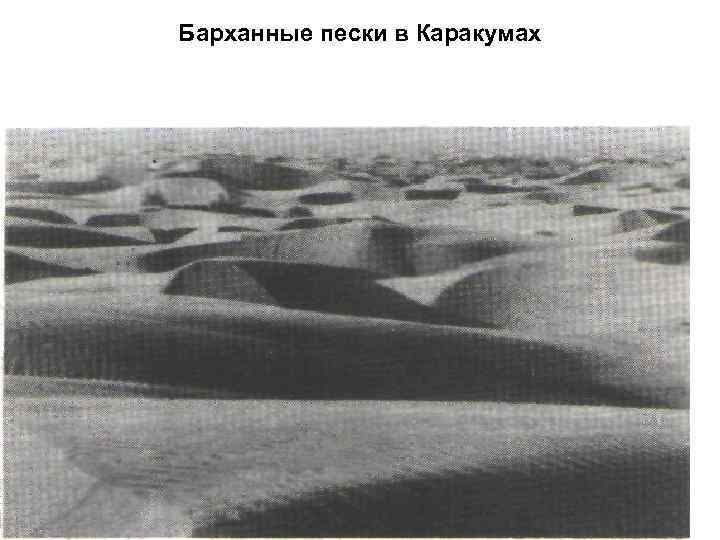 Барханные пески в Каракумах 
