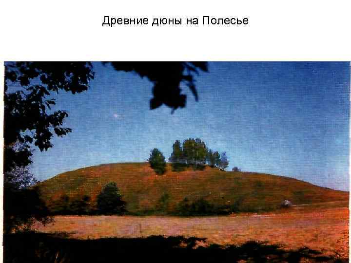 Древние дюны на Полесье 