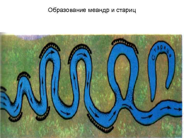 Образование меандр и стариц 