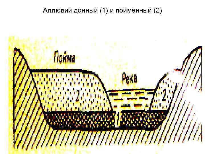 Донно 1. Дельтовый аллювий. Пойменный аллювий. Русловой аллювий. Старичный аллювий.