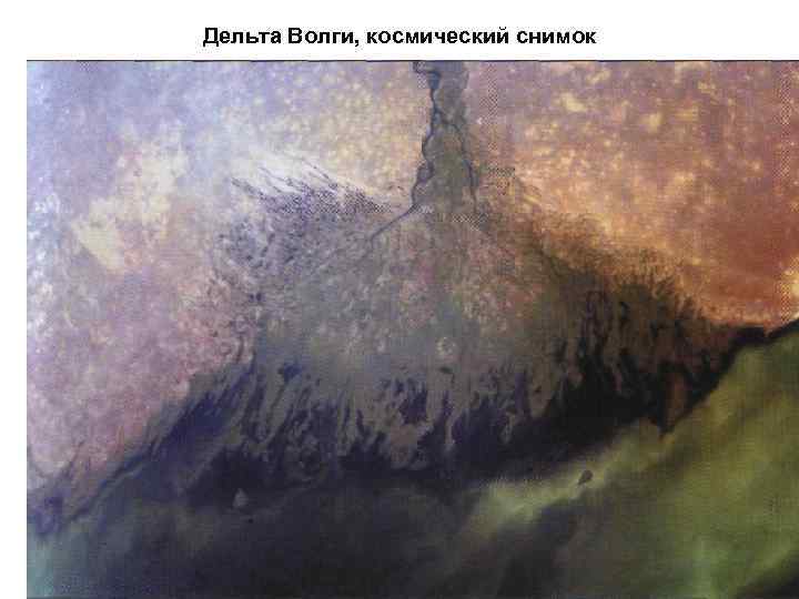 Дельта Волги, космический снимок 