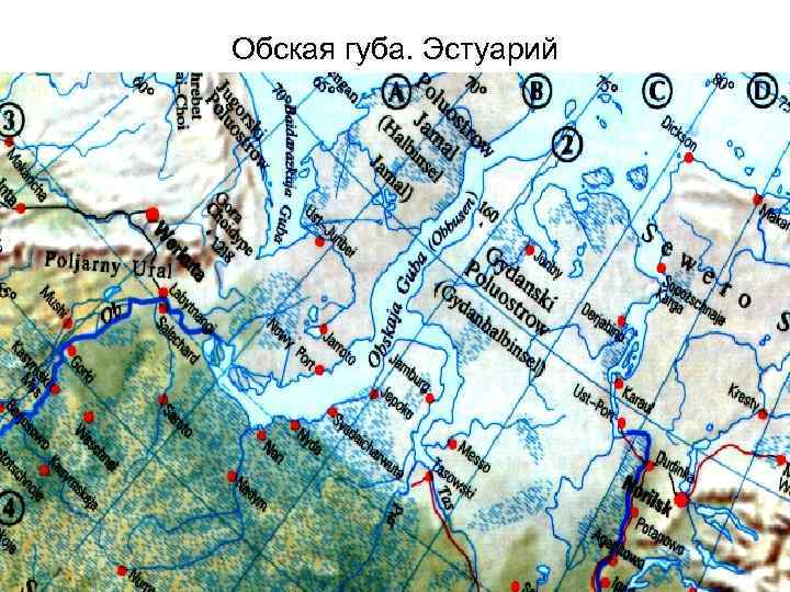 Губа на карте. Обская губа на карте. Глубина Обской губы. Карта Обского. Показать Обскую губу.