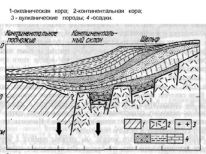 1 -океаническая кора; 2 -континентальная кора; 3 - вулканические породы; 4 -осадки. 