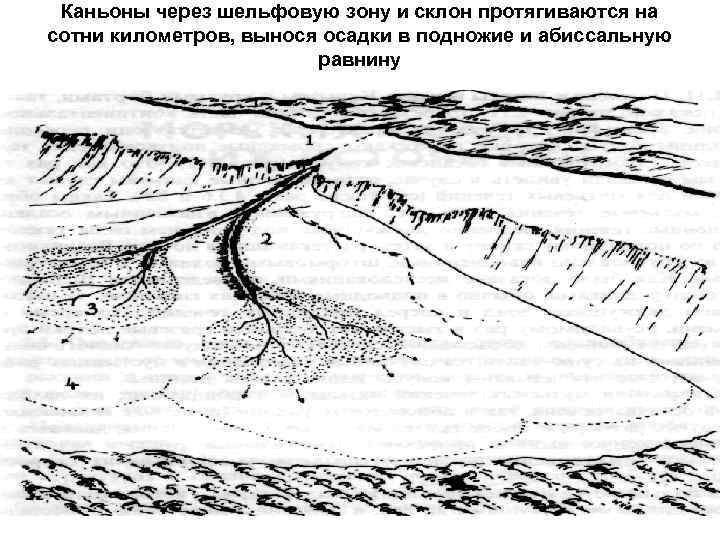 Каньоны через шельфовую зону и склон протягиваются на сотни километров, вынося осадки в подножие