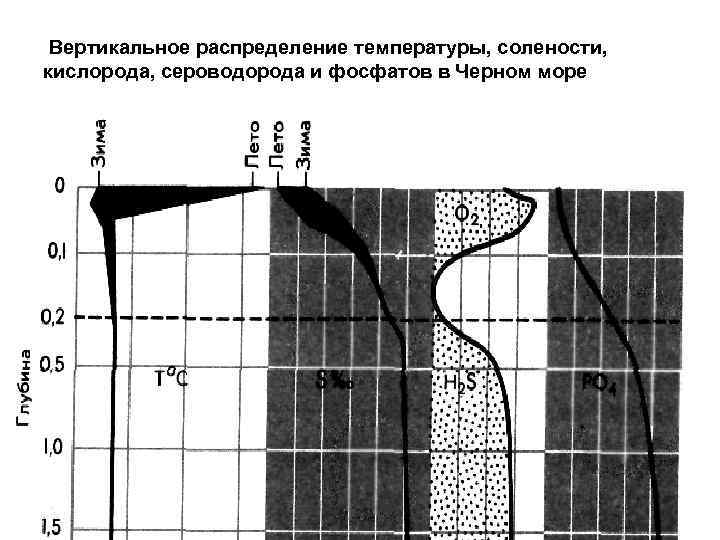Вертикальное распределение температуры, солености, кислорода, сероводорода и фосфатов в Черном море 