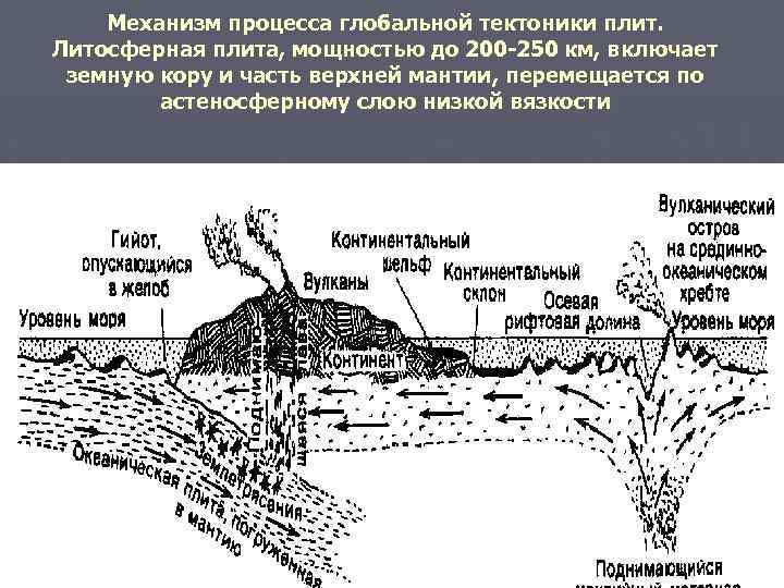 Механизм процесса глобальной тектоники плит. Литосферная плита, мощностью до 200 -250 км, включает земную