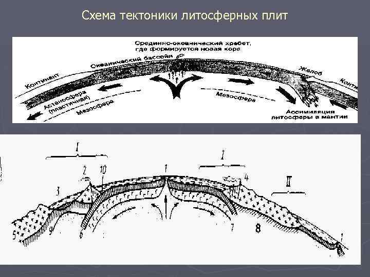 Схема тектоники литосферных плит 