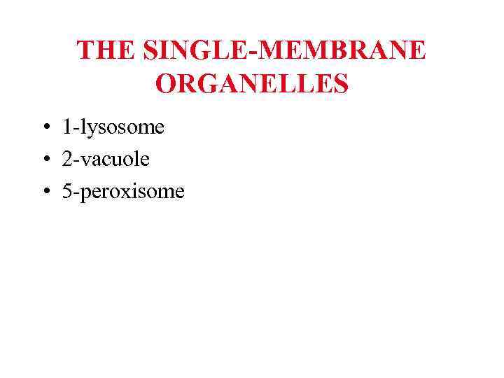 THE SINGLE-MEMBRANE ORGANELLES • 1 -lysosome • 2 -vacuole • 5 -peroxisome 