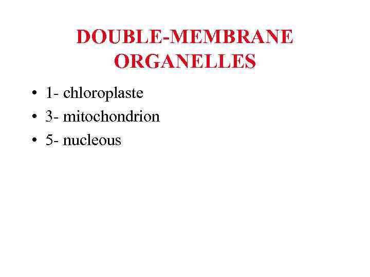 DOUBLE-MEMBRANE ORGANELLES • 1 - chloroplaste • 3 - mitochondrion • 5 - nucleous