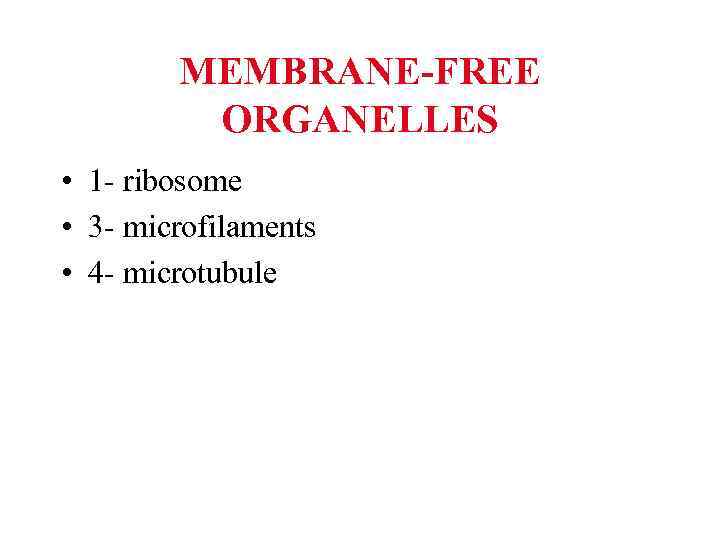 MEMBRANE-FREE ORGANELLES • 1 - ribosome • 3 - microfilaments • 4 - microtubule