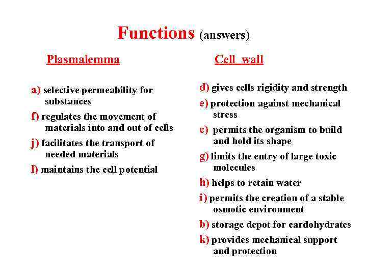Functions (answers) Plasmalemma a) selective permeability for substances f) regulates the movement of materials