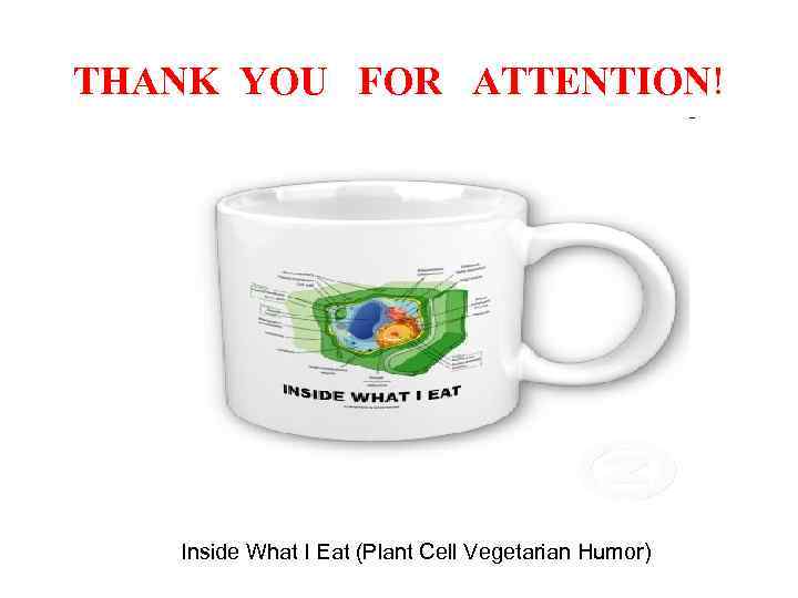THANK YOU FOR ATTENTION! Inside What I Eat (Plant Cell Vegetarian Humor) 
