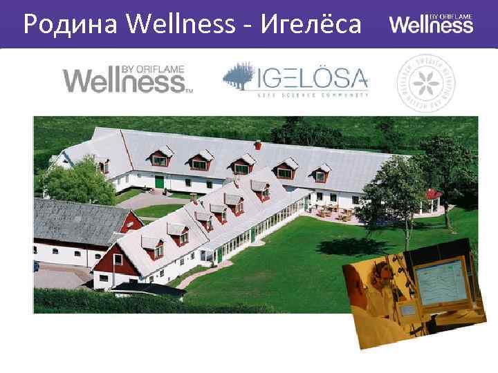 Родина Wellness - Игелёса 