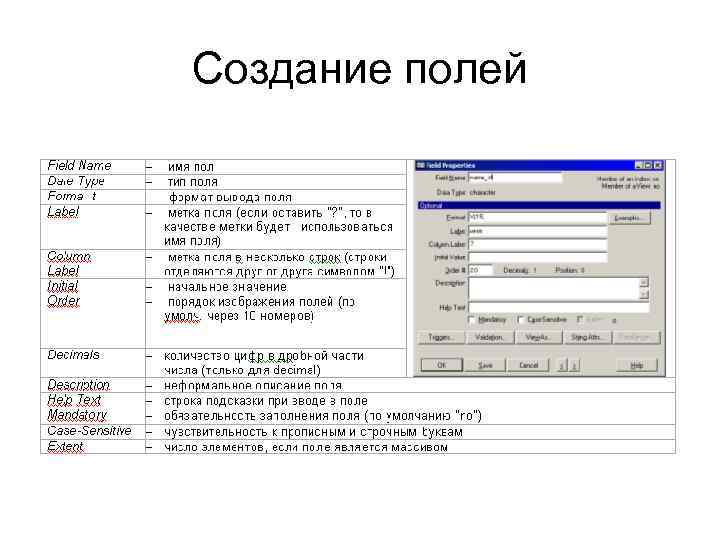 Создание полей. Создание поля. Описание поля. Тип поля строка. Программа построения поля.