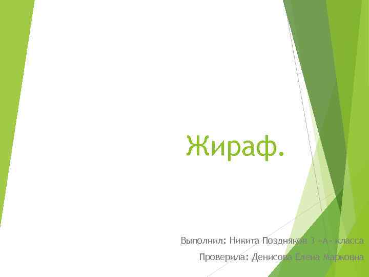 Жираф. Выполнил: Никита Поздняков 3 «А» класса Проверила: Денисова Елена Марковна 