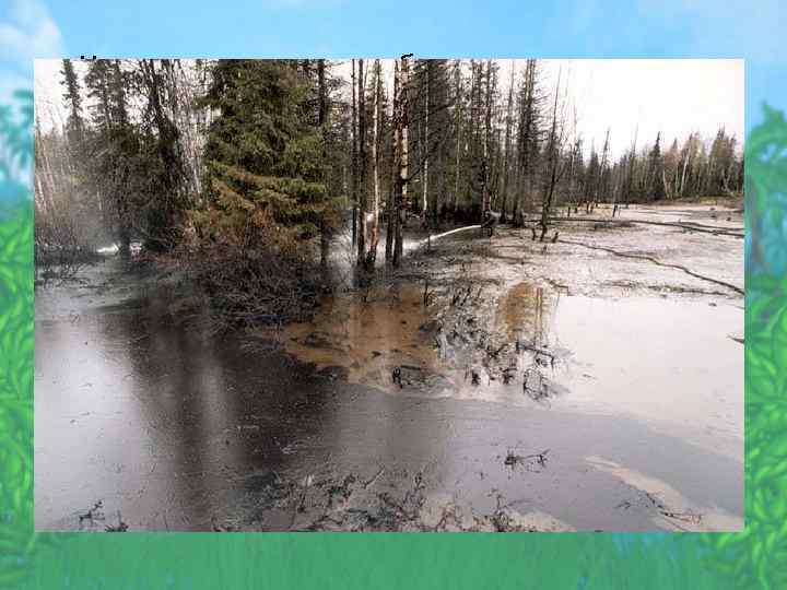  • Нельзя не сказать и об отрицательном воздействии деятельности человека на растительный мир