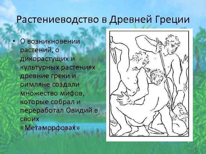 Растениеводство в Древней Греции • О возникновении растений, о дикорастущих и культурных растениях древние