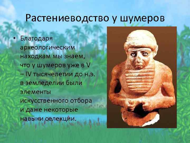 Растениеводство у шумеров • Благодаря археологическим находкам мы знаем, что у шумеров уже в