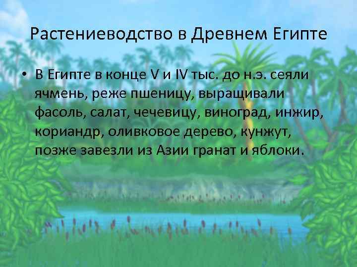 Растениеводство в Древнем Египте • В Египте в конце V и IV тыс. до