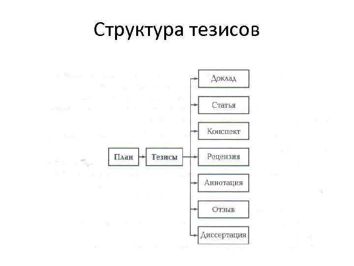 Структура тезиса