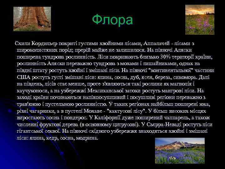 Флора Схили Кордильєр покриті густими хвойними лісами, Аппалачей - лісами з широколистяних порід; прерій