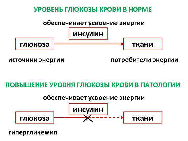 УРОВЕНЬ ГЛЮКОЗЫ КРОВИ В НОРМЕ обеспечивает усвоение энергии инсулин глюкоза ткани источник энергии потребители