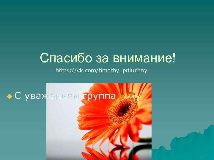 Спасибо за внимание! https: //vk. com/timothy_priluchny u. С уважением группа 