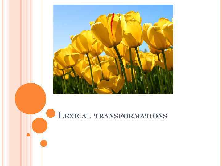 LEXICAL TRANSFORMATIONS 