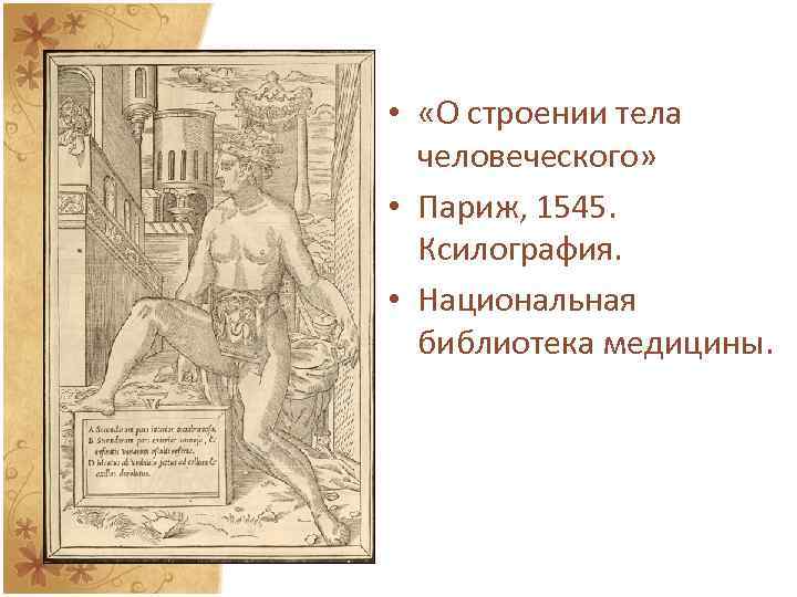  • «О строении тела человеческого» • Париж, 1545. Ксилография. • Национальная библиотека медицины.