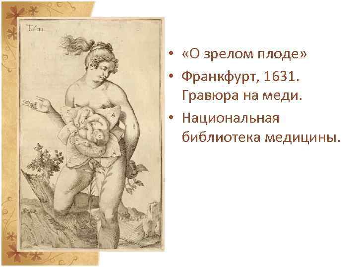  • «О зрелом плоде» • Франкфурт, 1631. Гравюра на меди. • Национальная библиотека